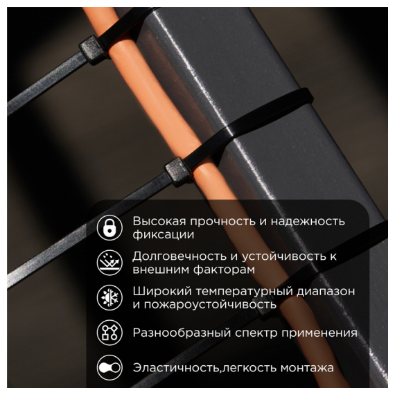 07-0701-9-25 Стяжка кабельная нейлоновая 700x9,0мм, черная (25 шт/уп) REXANT